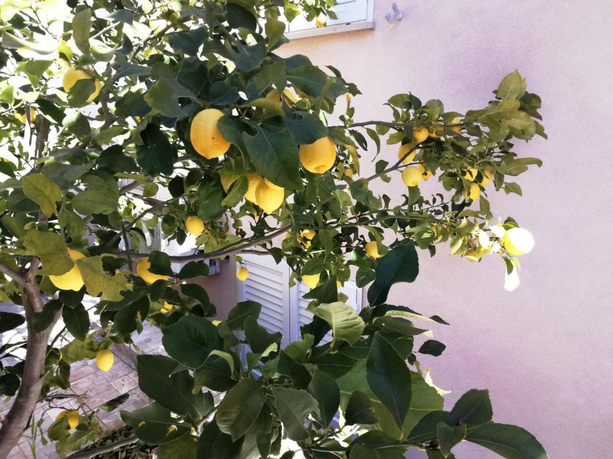 Appartementhaus Elena 젤사 외부 사진